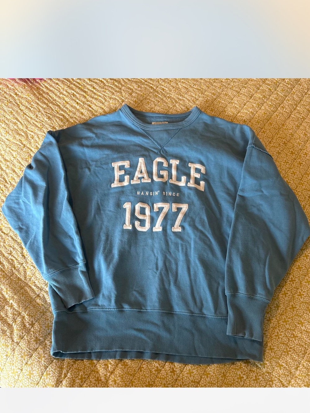 American Eagle Outfitters Blue Crewneck Sweatshirt